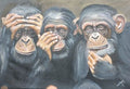 Silent Wisdom, Original African Painting